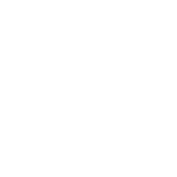 esocial